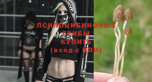 прущие крисы Гусь-Хрустальный