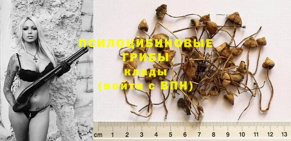 прущие крисы Гусь-Хрустальный