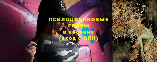 прущие крисы Гусь-Хрустальный