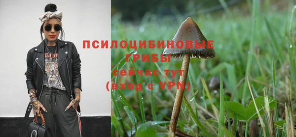 кристаллы Гусев