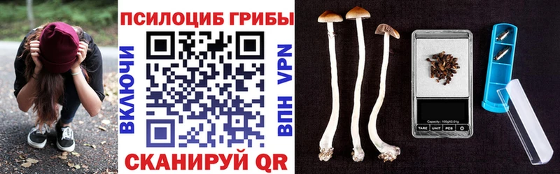 Галлюциногенные грибы Psilocybine cubensis  Купить где  Салехард 