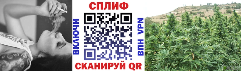 Бошки марихуана OG Kush  Купить где  Салехард 